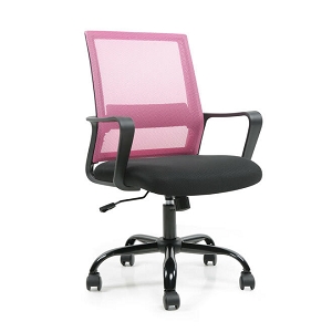 Mid-Back Adjustable Height Ergonomic Task Office Chair with Lumbar Support - Moustache- Pink 