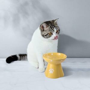 Raised Cat Ceramic Bowl Elevated Cat Bowls Anti-Vomiting Cat Feeder, 260ml , Yellow