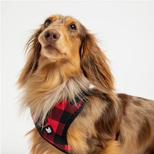 Pet 100% Polyester webbing Poplin Harness,Red Plaid,XL - Silver Paw