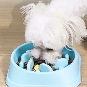 Smart Pet Slow Feeder Dog Bowl for Preventing Obesity, Choking & Overeating