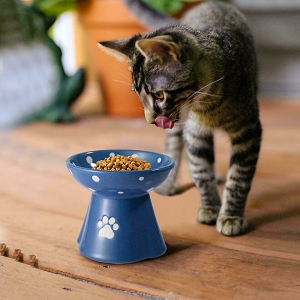 Raised Cat Ceramic Bowl Elevated Cat Bowls Anti-Vomiting Cat Feeder, 260ml , Blue