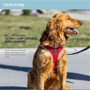 COUNTRY LIVING Step-in Dog Harness Red Step In Harness With Patented Buckle,L - Silver Paw