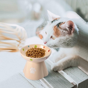 Raised Cat Ceramic Bowl Elevated Cat Bowls Anti-Vomiting Cat Feeder, 260ml , Beige
