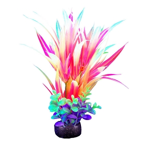 Marina iGlo Plant 5.5 in