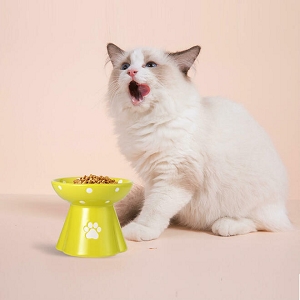 Raised Cat Ceramic Bowl Elevated Cat Bowls Anti-Vomiting Cat Feeder, 260ml ,Green