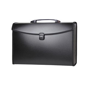 Winnable® Portable Expanding Files with Flexible Handle and Lock, Letter/Legal - Black 