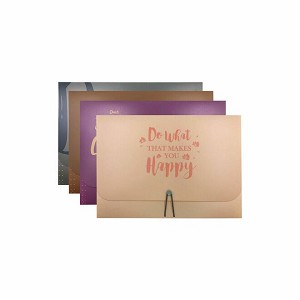 Winnable® Expanding File with 13 Pockets, Letter Size, Assorted Colors 