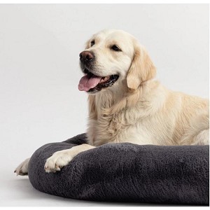 COUNTRY LIVING, Step-in Dog Harness Red Step In Harness With Patented Buckle,L - Silver Paw 